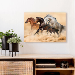 Obraz na płótnie Trzy konie biegnące galopem w kurzu