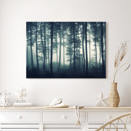 Obraz na płótnie Mgła w mrocznym lesie
