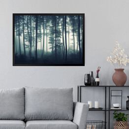 Obraz w ramie Mgła w mrocznym lesie
