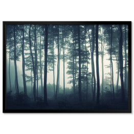 Plakat w ramie Mgła w mrocznym lesie