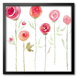 Obraz w ramie Akwarela - kwiaty róży