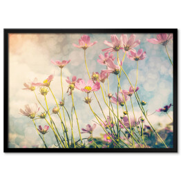 Plakat w ramie Polne kwiaty na tle pastelowego nieba 