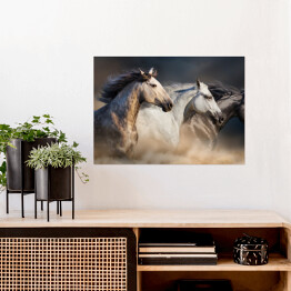 Plakat samoprzylepny Konie cwałujące w pustynnym pyle