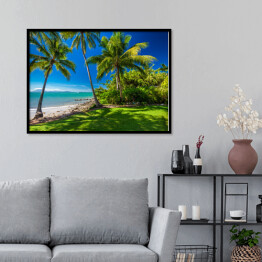 Plakat w ramie Rex Smeal Park w Port Douglas z palmami i plażą