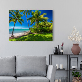 Obraz na płótnie Rex Smeal Park w Port Douglas z palmami i plażą