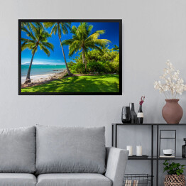 Obraz w ramie Rex Smeal Park w Port Douglas z palmami i plażą