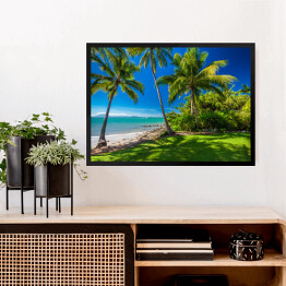 Obraz w ramie Rex Smeal Park w Port Douglas z palmami i plażą