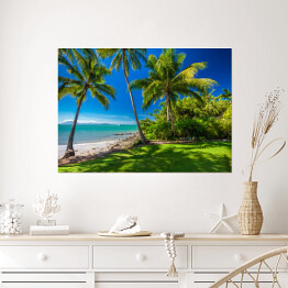 Plakat samoprzylepny Rex Smeal Park w Port Douglas z palmami i plażą