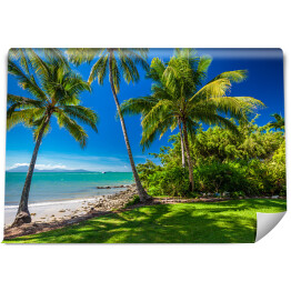 Fototapeta samoprzylepna Rex Smeal Park w Port Douglas z palmami i plażą