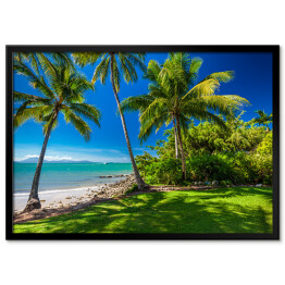Plakat w ramie Rex Smeal Park w Port Douglas z palmami i plażą