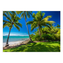 Plakat Rex Smeal Park w Port Douglas z palmami i plażą