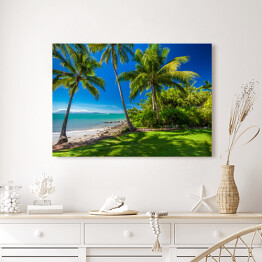 Obraz na płótnie Rex Smeal Park w Port Douglas z palmami i plażą