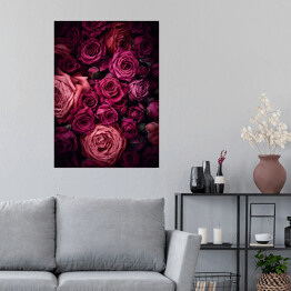 Plakat Ciemnoróżowe róże