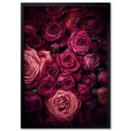Plakat w ramie Ciemnoróżowe róże