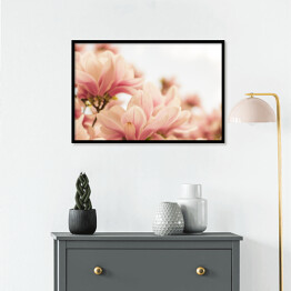 Plakat w ramie Magnolia w pastelowych barwach kwitnąca na wiosnę