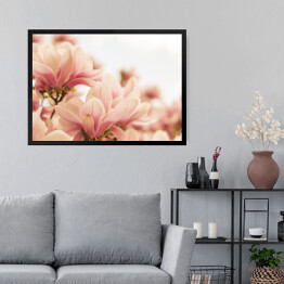 Obraz w ramie Magnolia w pastelowych barwach kwitnąca na wiosnę