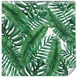 Tapeta w rolce Tropikalne liście palmowe rozłożone na białym tle