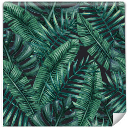 Tapeta samoprzylepna w rolce Liście palmowe - akwarela na ciemnym tle