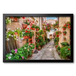 Obraz w ramie Włoskie uliczki udekorowane kwiatami w słoneczny dzień