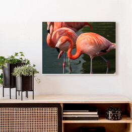 Obraz na płótnie Flamingi w jeziorze