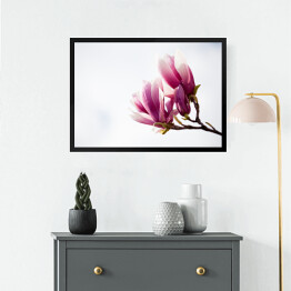 Obraz w ramie Ciemnoróżowa magnolia 