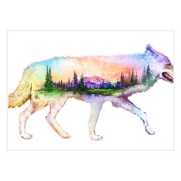Plakat Podwójna ekspozycja - barwny wilk