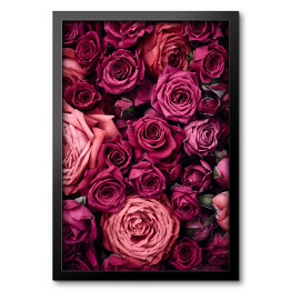 Obraz w ramie Tło z pięknych róż