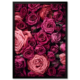 Plakat w ramie Tło z pięknych róż