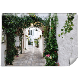 Fototapeta winylowa zmywalna Piękny widok malowniczej wąskiej uliczki we Włoszech