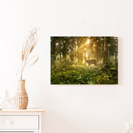 Obraz na płótnie Jeleń w zamglonym lesie