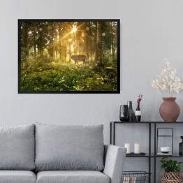 Obraz w ramie Jeleń w zamglonym lesie
