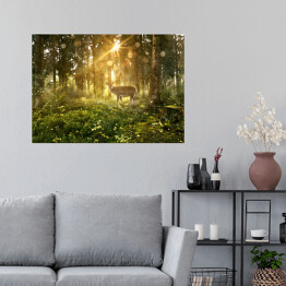 Plakat Jeleń w zamglonym lesie