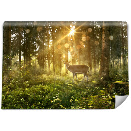 Fototapeta Jeleń w zamglonym lesie