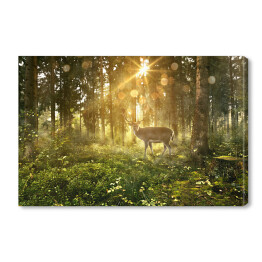 Obraz na płótnie Jeleń w zamglonym lesie