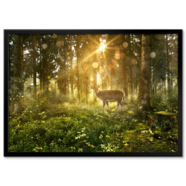 Plakat w ramie Jeleń w zamglonym lesie