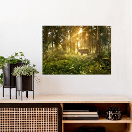 Plakat Jeleń w zamglonym lesie