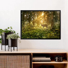 Obraz w ramie Jeleń w zamglonym lesie