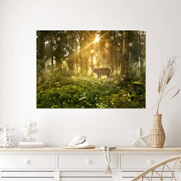 Plakat samoprzylepny Jeleń w zamglonym lesie