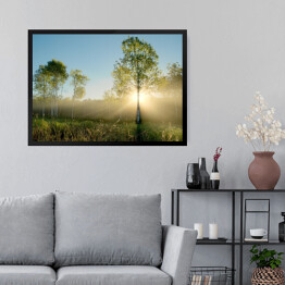 Obraz w ramie Promienie słoneczne oświetlające drzewa na łące