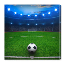 Obraz na płótnie Piłka na zielonym stadionie