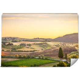 Fototapeta winylowa zmywalna Krajobraz wsi w Toskanii