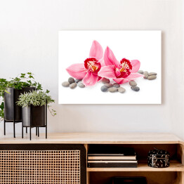 Obraz na płótnie Kwiaty orchidei