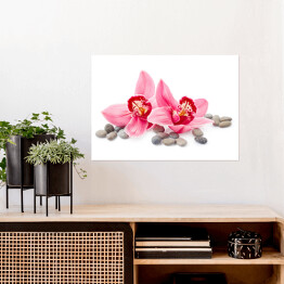 Plakat samoprzylepny Kwiaty orchidei