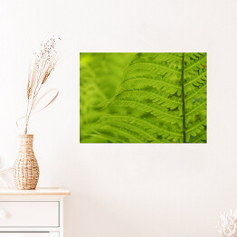 Plakat Wiosenna zielona roślinność