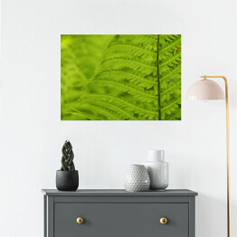 Plakat samoprzylepny Wiosenna zielona roślinność