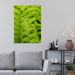 Plakat samoprzylepny Wiosenna zielona roślinność - paproć