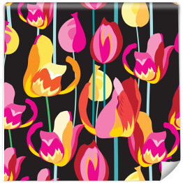 Tapeta w rolce Piękne barwione tulipany na czarnym tle