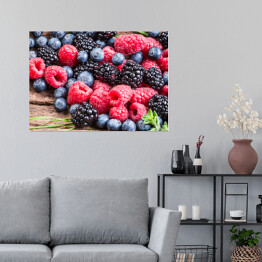 Plakat Świeże jagody, czernica, malina i jeżyna 
