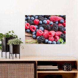 Plakat Świeże jagody, czernica, malina i jeżyna 