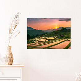 Plakat samoprzylepny Wieczorny krajobraz z tarasów ryżowych